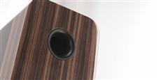 Q Acoustics Concept 300 Noir et Noyer