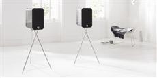Q Acoustics Concept 300 Silver et Ébène