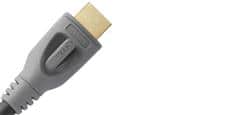 QED Perf Active 12