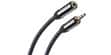 QED Rallonge mini-jack Graphite 1.5 m