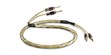 QED Golden Anniversary XT (2 x 2 m) (photo supp. n°3)