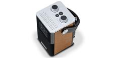 Roberts Blutune T2