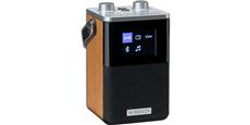 Roberts Blutune T2