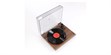 Rega Planar 1 Plus Noyer (photo supp. n°5)