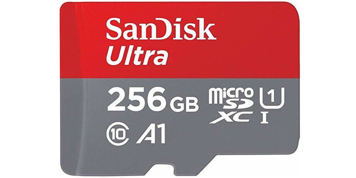 SanDisk MicroSDXC Class 10 256 Go