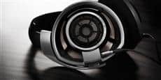 Sennheiser HD 800 Gris