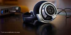 Sennheiser HD 800 Gris