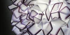 Slamp Applique Clizia Large Violet