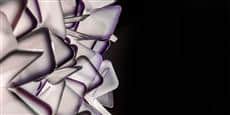 Slamp Applique Clizia Large Violet