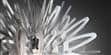 Slamp Suspension Creatures S Blanc (photo supp. n°2)