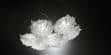 Slamp Suspension Veli 7 Opal
