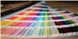 Softline Blast Magenta (photo supp. n°5)