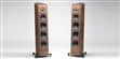 Sonus Faber Venere S Bois