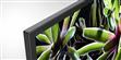 Sony KD-43XG7096 (photo supp. n°3)