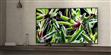 Sony KD-43XG7096 (photo supp. n°5)