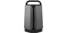 Soundcast VG7