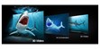 Samsung Samsung 27" Odyssey 3D G9 (photo supp. n°18)