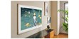 Samsung The Frame TQ55LS03D (photo supp. n°11)