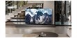 Samsung TQ65S95D (photo supp. n°10)