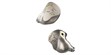 Shanling ME900 Titanium