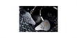 Shanling ME900 Titanium (photo supp. n°3)