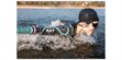 Shokz OpenSwim Pro Gris (photo supp. n°7)