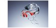 Shokz OpenSwim Pro Gris (photo supp. n°20)