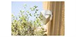 Sonance M66 Blanc (la paire) (photo supp. n°8)