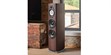 Sonus Faber Sonetto VIII G2 Wengé (photo supp. n°7)
