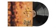 Sony Music Prince - The Gold Experience (2 LP) (photo supp. n°1)