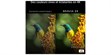 Sony 43 Bravia 2 II  (photo supp. n°1)