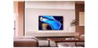 Sony 55 Bravia 8  (photo supp. n°11)