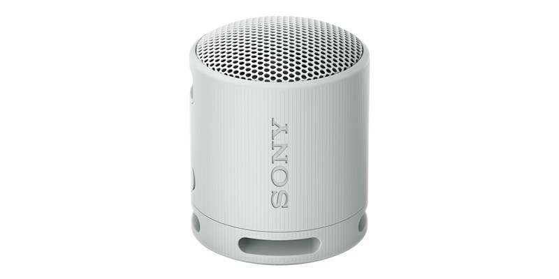 Sony SRS-XB100 Gris