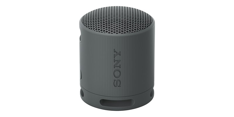Sony SRS-XB100 Noir