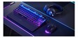 Steelseries Apex Pro TKL WL (photo supp. n°5)