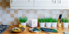 Tangent Spectrum W1 Google Cast Blanc