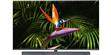 TCL 65X10 (photo supp. n°4)