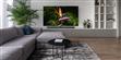 TCL 65X10 (photo supp. n°12)