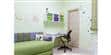 Tendance Miroir Salamandre L (photo supp. n°2)