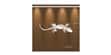 Tendance Miroir Salamandre L