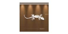 Tendance Miroir Salamandre L