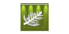 Tendance Miroir Rameau d'Olivier M