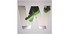 Tendance Miroir Lettre W Small