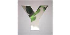 Tendance Miroir Lettre Y Small