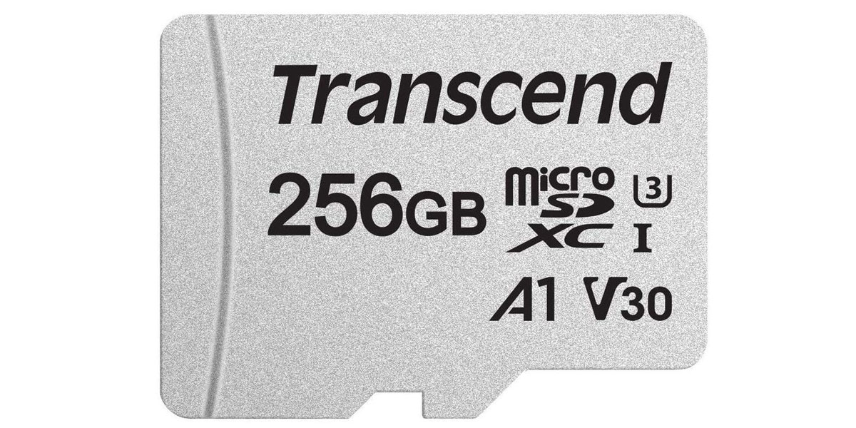 Transcend MicroSDXC Class 10 (256 Go)