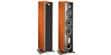 Triangle Esprit Antal Ex