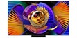 TCL 65C7L (photo supp. n°1)