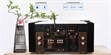 Tonewinner AD-99D (photo supp. n°4)