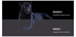 Valerion VisionMaster Max (photo supp. n°10)