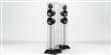 Waterfall Audio Victoria Evo Verre